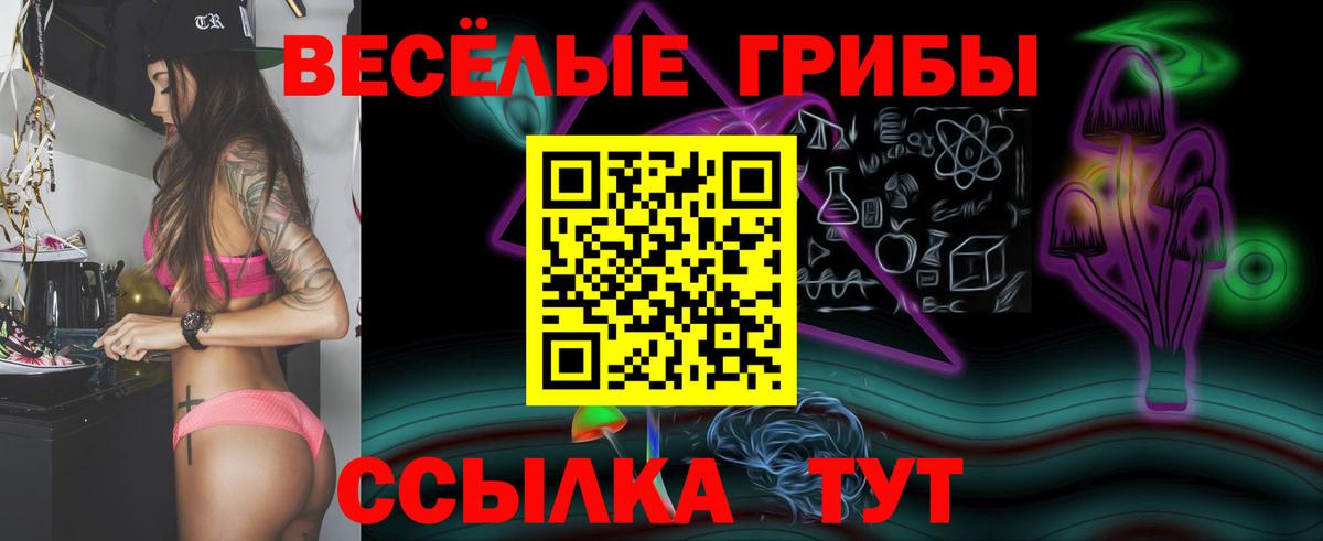 Галлюциногенные грибы мицелий Москва